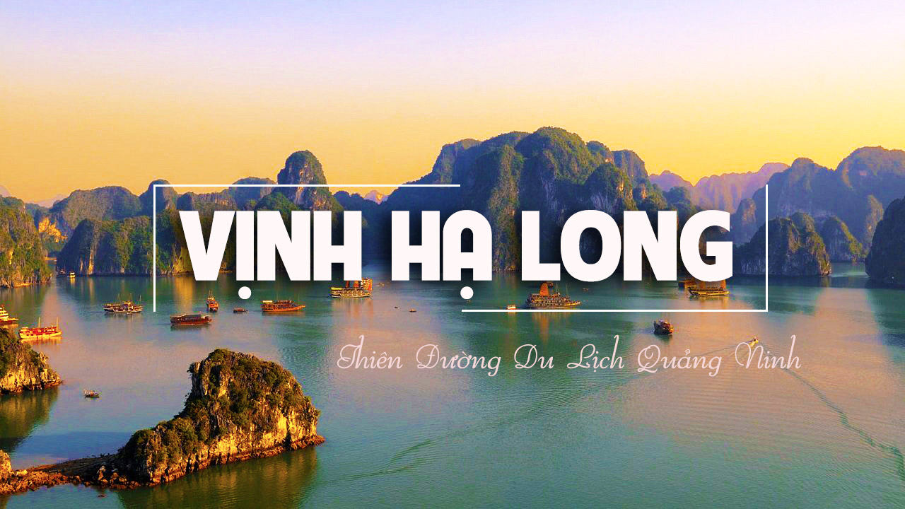 DỊCH VỤ DU LỊCH HẠ LONG